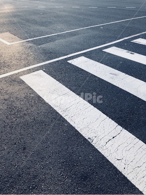 오후,아스팔트,횡단보도,도로,햇빛,교통,교통수단,traffic,transportation