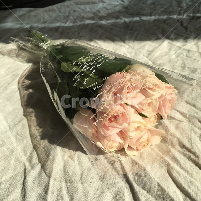 장미,꽃다발,plant,식물,flowerarrangement,flowerbouquet,blossom,flower,꽃,식물,자연,plants,nature,꽃,flower