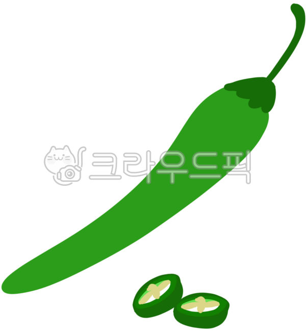 고추,풋고추,청양고추,스파이시,매운,음식,요리재료,재료,채소,일러스트,일러스트레이션