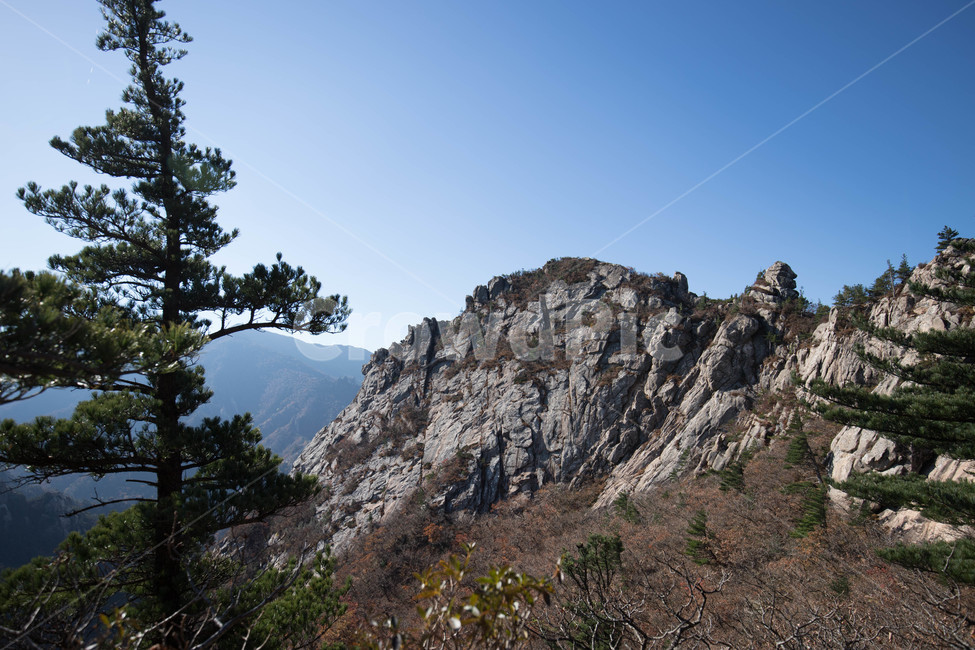 자연,cliff,옥외,설악산,nature,자연,풍경,nature,landscape,outdoors,낭떠러지
