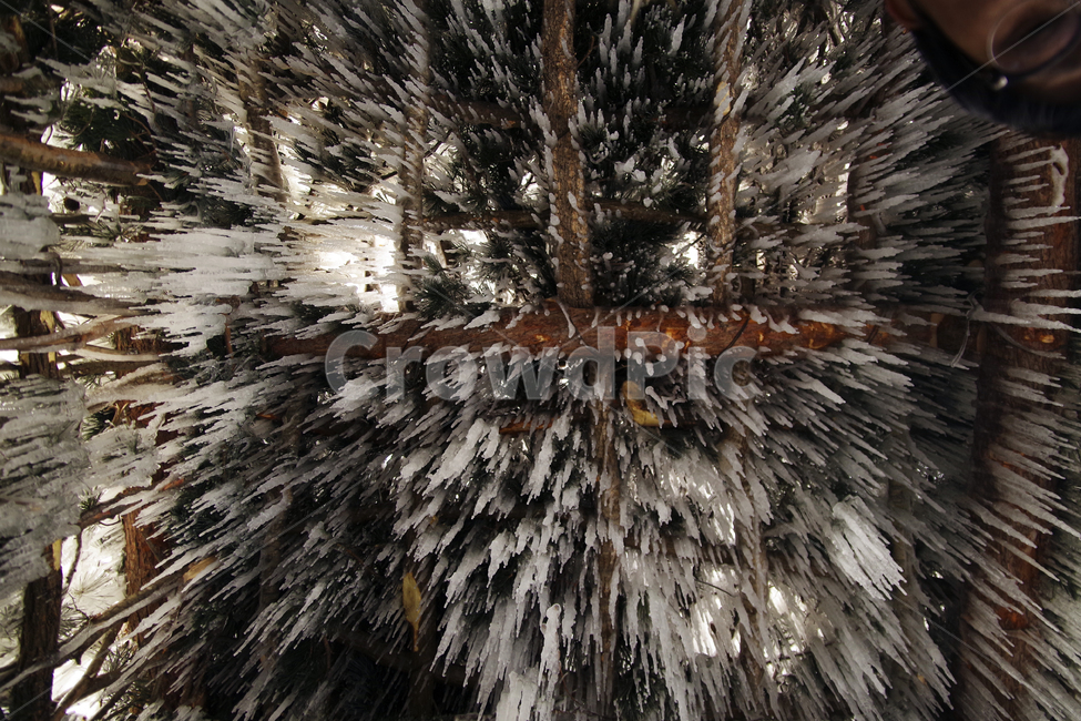 고드름,겨울,겨울소경,겨울원두막,겨울비,겨울,계절,winter,season,자연,풍경,nature,landscape