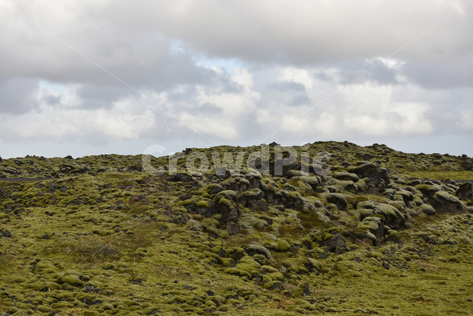 아이슬란드,iceland,이끼,선태식물,moss,이끼바위,자연,과학,nature,자연,풍경,nature,landscape,outdoors,옥외