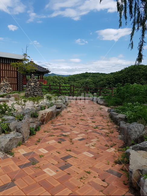 오솔길,고석정길,path,lane,trail,좁은길,산책로