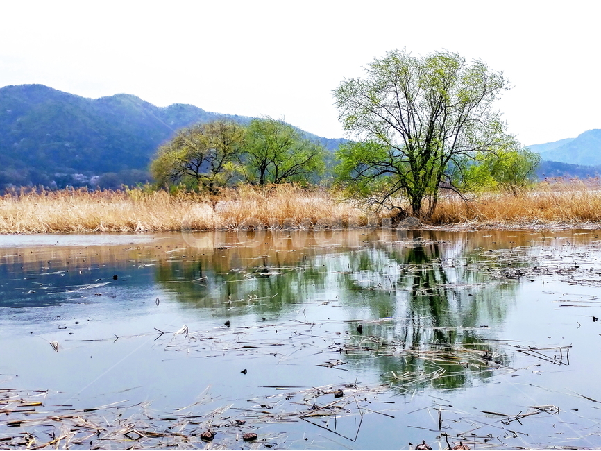 Yangsuri,landscape photography,blue sky,rest,nature,Dumulmeori,tree,riverside,Emotional photo,healing,sight,Korean natural scenery,river,Wallpapers,Yangpyeong,clear water,landscape