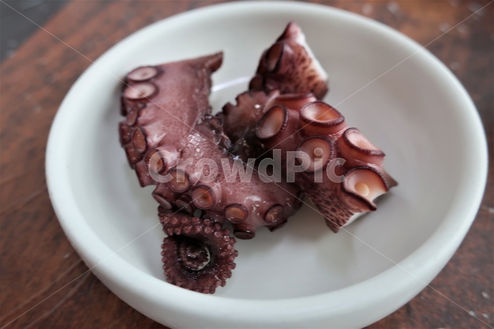 문어,숙회,해물,해산물,수산물,먹거리,식재료,데친,음식,보양식,수산물,해산물,fishery products,seafood
