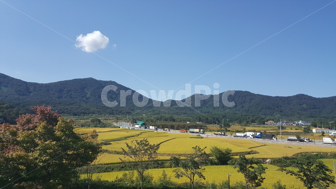 countryside,landscape,farmingvillage,mountainpeak,rice,sky,cloud,autumn,벼농사,가을,농촌,하늘,구름,시골,도로,나무,들판,산봉우리,차량,시골,마을,풍경,landscape,country,rural,town