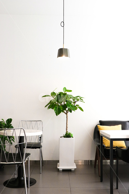 의자,인테리어,인테리어디자인,가구,장식,카페,furniture,chair,인테리어,실내디자인,interior design