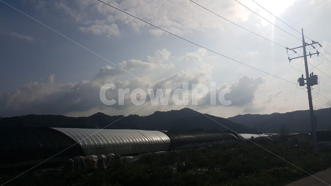 풍경,논산,하늘,해빛,빛,농업,농사,agriculture,farming,farming industry