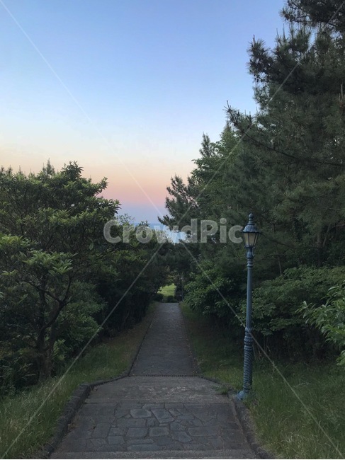 가로등,나무,숲,하늘,노을,풀,풀밭,불빛,해,자연,풍경,nature,landscape