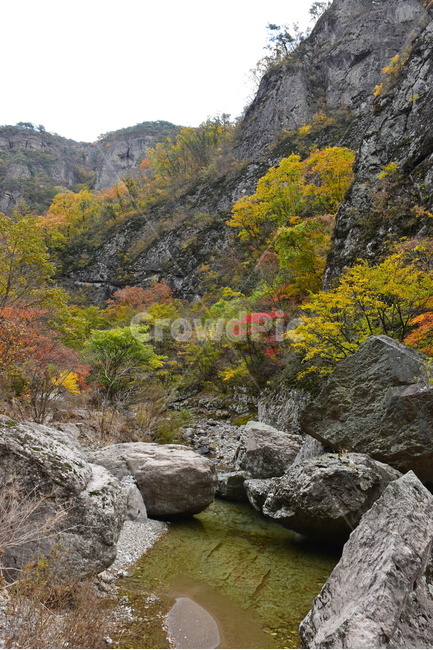 가을,단풍,풍경,울긋불긋,알록달록,형형색색,계절,시즌,아름다운,오색,주왕산,절골,계곡,비경,가을색,감성,힐링,가을,계절,fall,autumn,season,nature,자연,outdoors,옥외,water,물