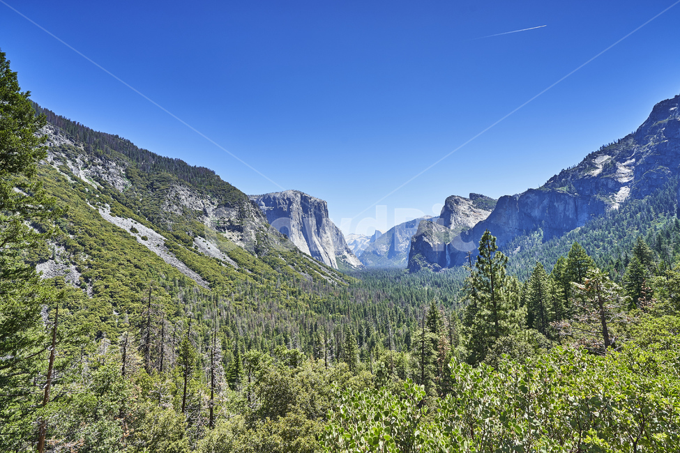 yosemite,요세미티,국립공원,나무,산,풍경,하늘,공원,전망,파노라마,힐링,휴식,자연,풍경,nature,landscape,해외,외국,세계,foreign,oversea,world,세계자연풍경,해외자연풍경,외국자연풍경,world nature landscape,tree,plant,식물,abies,아비,fir,전나무,mountain,outdoors,옥외,mountain range,산맥