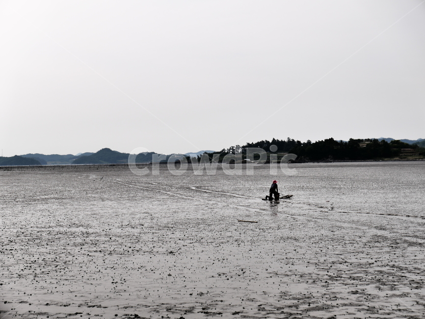 뻘배,갯벌,뻘,간조,어촌,어획,바다,물빠진바다,어업,fishery,fishing industry