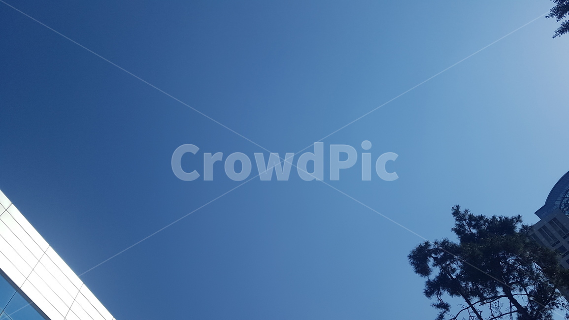 자연,nature,outdoors,옥외,sky