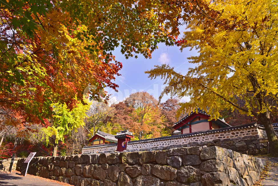 가을,남한산성,가을배경,건축물,유네스코,unesco,세계문화유산,가을단풍,사당,건물,고건축,한국전통,기와지붕,태극마크,은행나무,단풍숲,배경,바탕,백그라운드,야외,옥외,아웃도어,background,outdoor,환경,environment,maple,forest,structure,building,벽,지붕,wall,돌담,칼라풀,컬러풀,colorful,가을분위기,가을서정,계절,시즌,season,석축,나무,식물,plant,tree,가을,계절,fall,autumn,season,한국전통,한국문화,korean traditional,korean culture,건축물,건물외관,exterior,building,structure,architecture,construction,path,통로,walkway,보도,단풍,leaf,잎