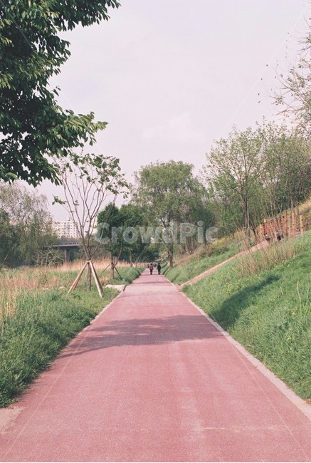 한강,운동,길,산책,걷기,자연,풍경,nature,landscape,path,통로,outdoors,옥외