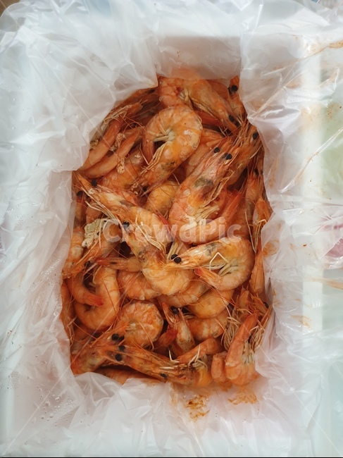 새우,대하,식품,해물,바다,수산물,해산물,fishery products,seafood