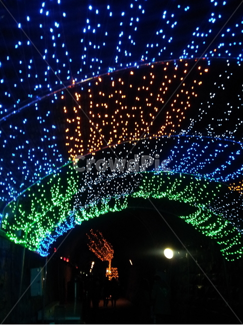 야경,네온,풍경,불빛,밤,야경,밤,풍경,nightscape,night,landscape