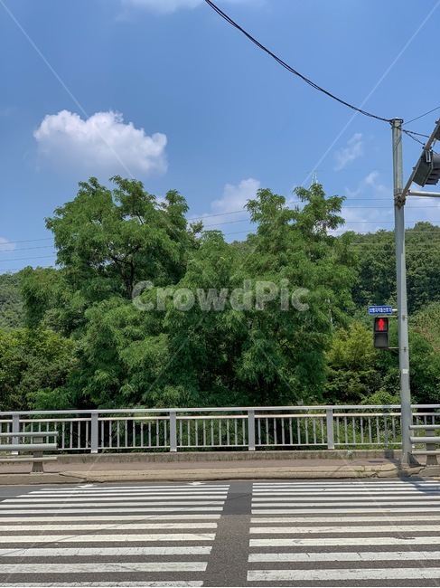 도로,road,아스팔트,신호등,asphalt