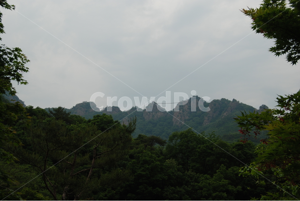한국,봄,구봉산,명산,나무,자연,풍경,nature,landscape,outdoors,옥외,slope,경사