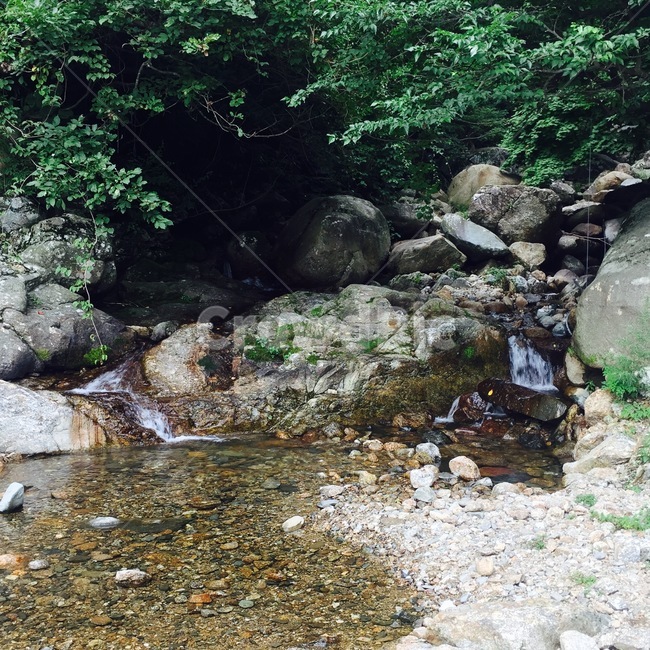 water,물,nature,자연,outdoors,작은만,creek,흐름,stream,옥외,계곡,자연,풍경,nature,landscape