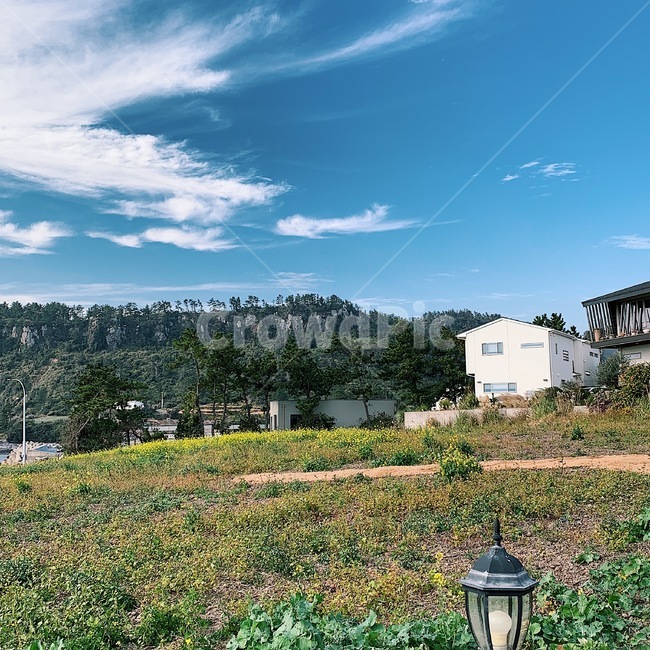 제주도,하늘,바다,풍경,자연