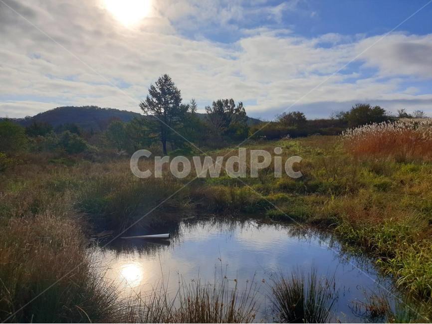 자연,nature,물,water,호수,웅덩이,샘,가을,구름,일출
