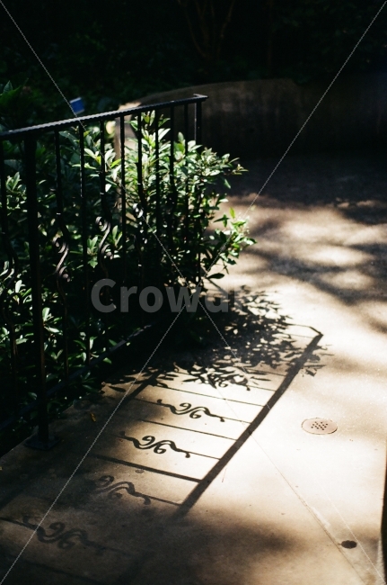 난간,그림자,휀스,펜스,울타리,필름,식물,자연,plants,nature,감성,sensible,feeling,휴식,힐링,rest,relaxation,healing