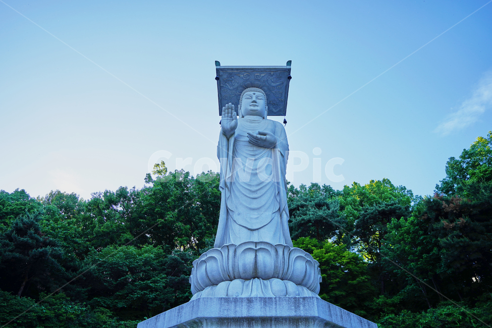 봉은사,불교,절,사찰,템플,부처,조형물,한국전통,한국문화,korean traditional,korean culture,종교,신앙,religion,belief,faith