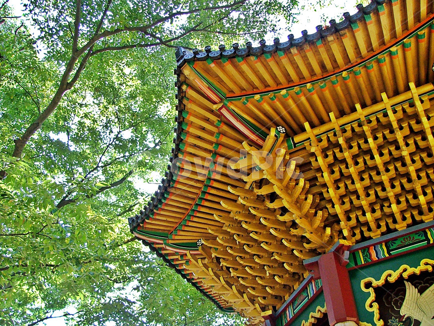 윤장대,불경,기원,기도,불구,진리,한국전통,한국문화,korean traditional,korean culture,건축물,건물외관,exterior,building,structure,architecture,construction