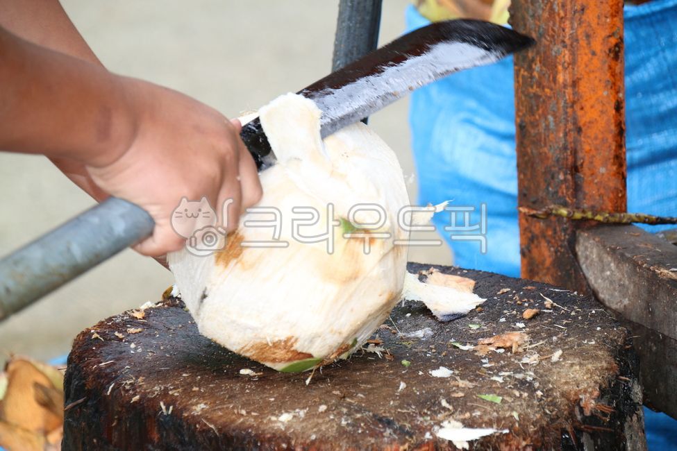 knife,skin,coconut shell,food,coconut,hand