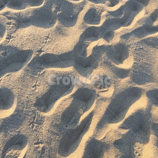 발자국,모래,그림자,새발자국,바다,해변,바다,beach,sea