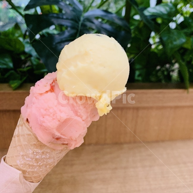 아이스크림,딸기,레몬,food,음식,dessert,디저트,creme,크림,cream,icecream,콘아이스크림,음식,식재료,요리,food,cook,meal,dishes,food reserves,디저트,간식,후식,dessert,snack