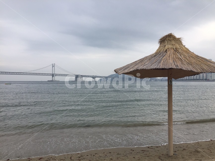 부산,바다,다리,파라솔,나무,busan,sea,ocean,bridge,parasol,beach,tree