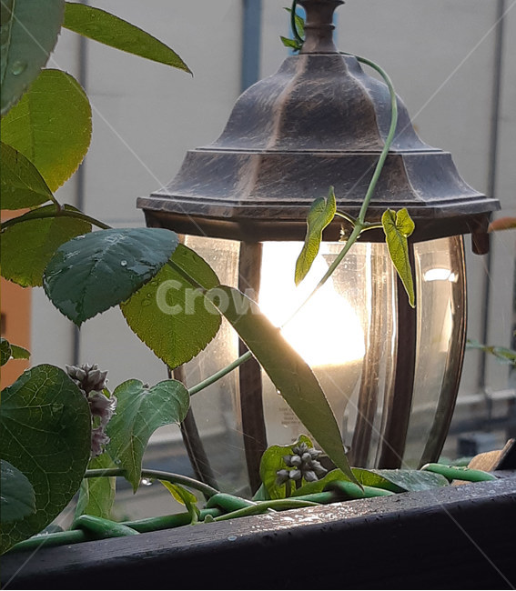 전등,전구,가로등,등,빛,lamp,light