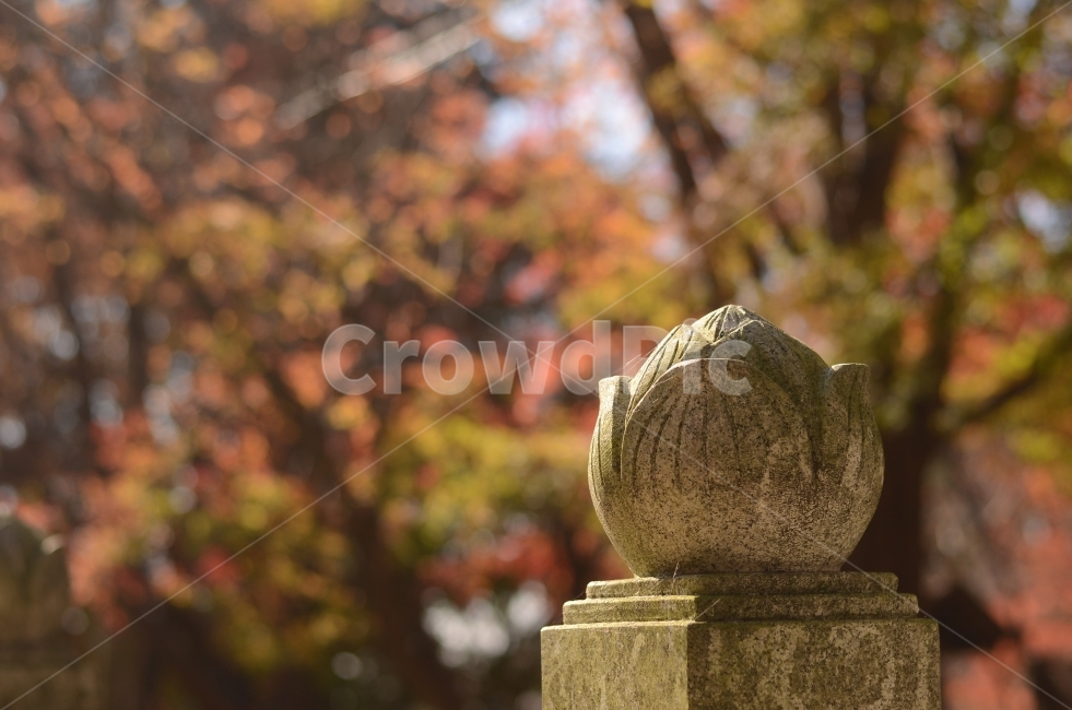 가을,단풍,가을산,조형물,아웃포커스,자연,가을,계절,fall,autumn,season,조각상,동상,석상,조형물,statue,bronze statue,stone statue,tree,나무,plant,식물