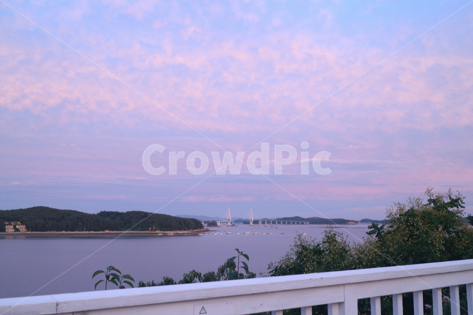 evening scenery,bluehour,early evening sky,pink sky,dog and wolf time