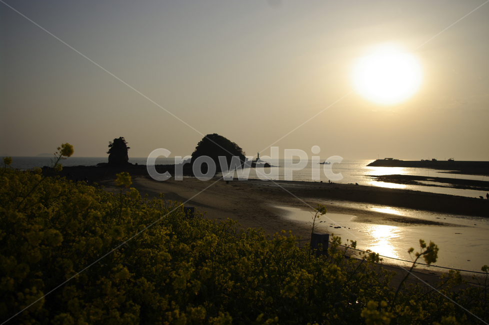 안면도,꽃지해변,바다,석양,풍경,유채꽃,섬,해안,해변,자연,풍경,nature,landscape,flare,플레어,light,빛,sunlight,햇빛