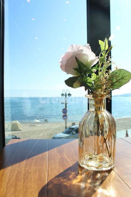 꽃병,바다,카페,하늘,맑음,해변,바다,beach,sea,실내용화초,화분,화초,house plant