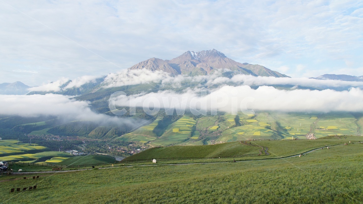 청해성,유채밭,field,scenery,풍경,nature,자연,outdoors,옥외,landscape,경치,mountainrange,산맥,mountain,산,중국,탁얼산,탁얼산운해,자연,풍경,nature,landscape
