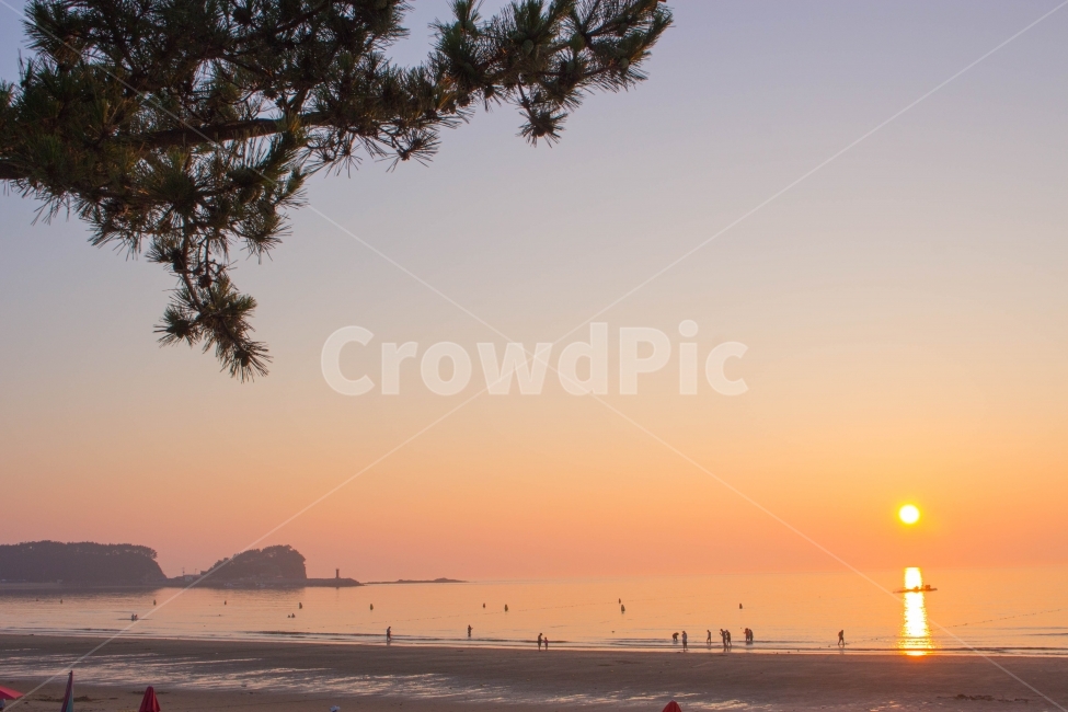 일몰,바다,노을,풍경,해,자연,풍경,nature,landscape,해변,바다,beach,sea,사람들,대중,군중,other people,crowd,감성,sensible,feeling,색깔,색상,색채,색감,color sense,color sensitivity,feeling of color,outdoors,옥외