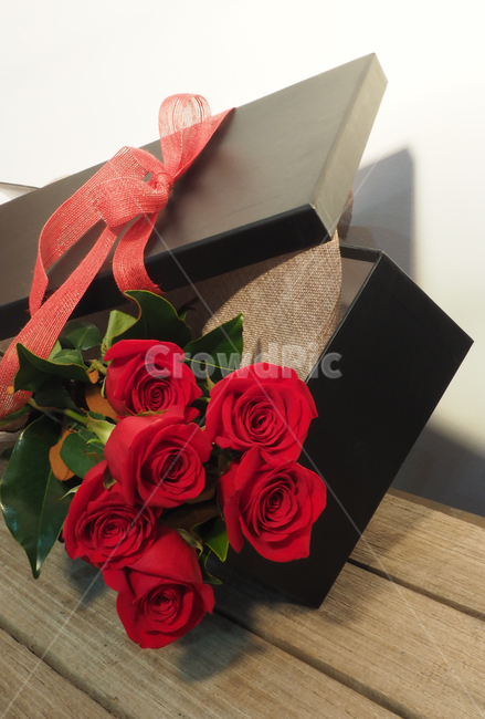 장미,꽃,빨강,포장,발렌타인데이,사랑,러브,커플,선물,꽃,flower,기념일,축하,anniversary,congratulation,celebrate,celebration