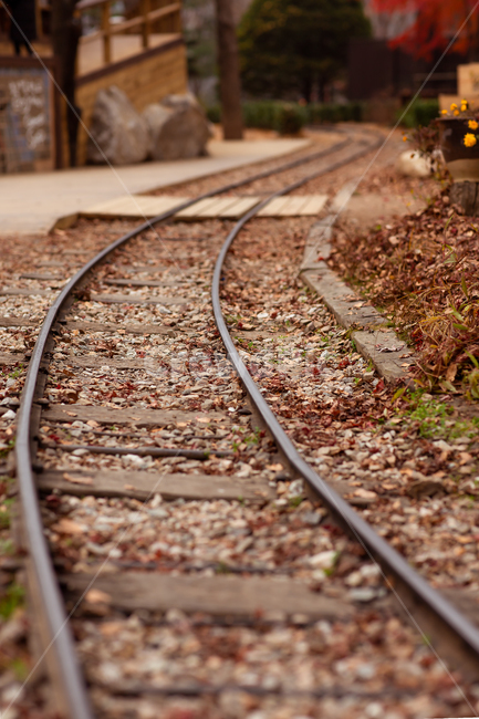 풍경,열차길,기차길,남이섬,가을,늦가을,소실점,철로,공원,파크,시설물,시설,traintrack,기찻길,rail,transportation,교통,railway,철도,가을,계절,fall,autumn,season