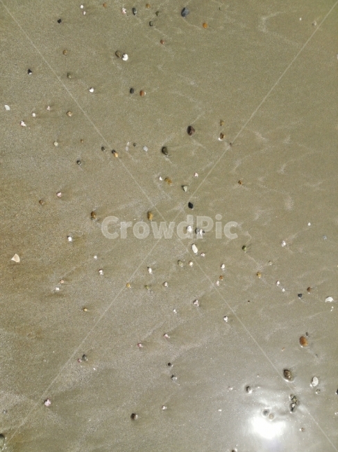 모래,모래사장,해변,해수욕장,돌,조개,해변,바다,beach,sea