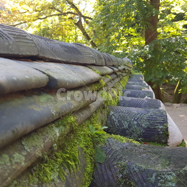기와,지붕,담벼락,이끼,풍경,배경,한국전통,한국문화,korean traditional,korean culture