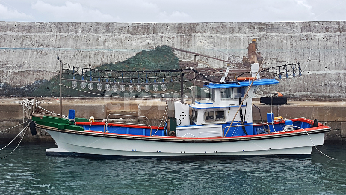 어선,제주항구,정주항,항구풍경,보트,배,boat,선박,교통,고기잡이배,port,어업,fishery,fishing industry
