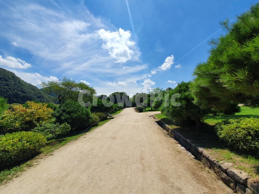 road,흙길,도로,gravel,dirtroad,풍경,자연,풍경,nature,landscape,dirt road,자갈