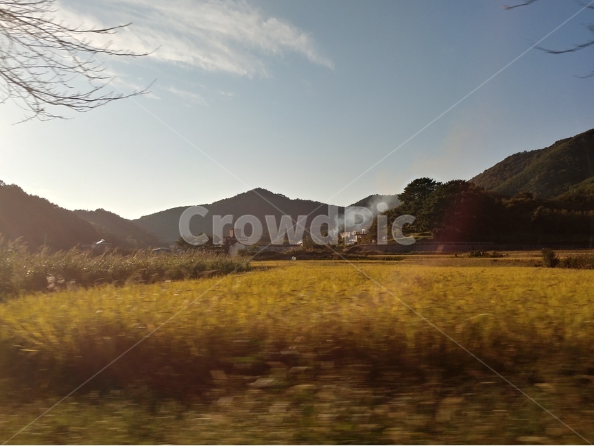 하늘,산,나무,구름,자연,들판,추수,수확,황금들판,가을,계절,fall,autumn,season,시골,마을,풍경,landscape,country,rural,town,nature,outdoors,옥외,field,들,grassland,목초지