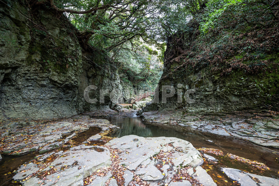 안덕계곡,계곡,제주도,풍경,landscape,자연,풍경,nature,landscape,한국자연풍경,한국자연경관,korea nature landscape,stream,흐름,water,물,creek,작은 만,outdoors,옥외