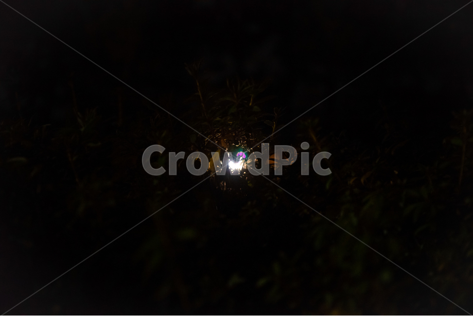 background,black,desolate,branch,calm,cloud,darkness,fear,fullmoon,depression,moon,mysterious,night,pitchblack,coarsetexture,silence,sky,twinkling,creepy,suspicious,terriblenightsky,sparse,treesdisappearing,nature,outdoordark,배경,검정색,황량함,나뭇가지,고요함,구름,흐림,어둠,두려움,보름달,우울함,달,달빛,신비함,밤,칠흑같이어두운,거친질감,침묵,하늘,반짝임,섬뜩함,의심,끔찍한밤하늘,희박함,나무,사라짐,자연,옥외,어두운,light,빛,flare,플레어