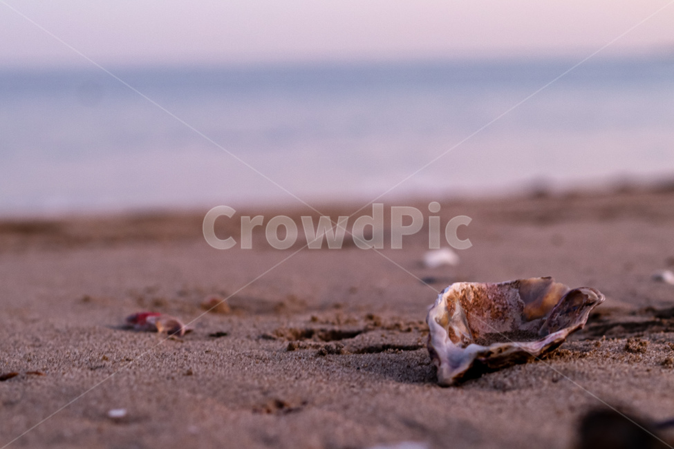 바다,자연,풍경,땅,옥외,해안가,해변,바다,beach,sea